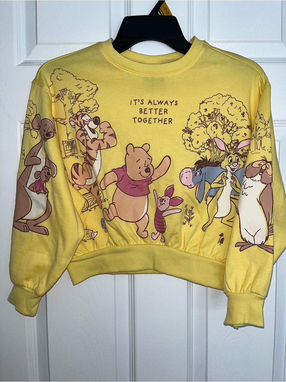 Disney Yellow Winnie the Pooh Friends Sweatshirt
